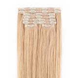 Champagne Hair Extensions (Blonde)
